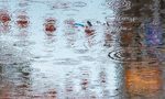 Rain puddle on the road in a high flood risk area